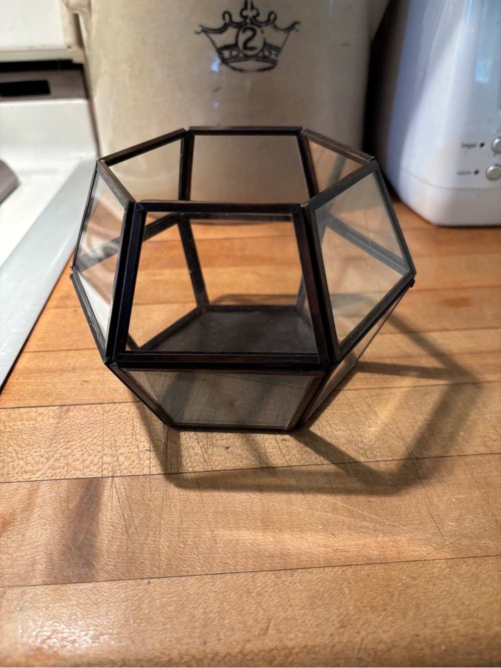 Tiny Terrarium